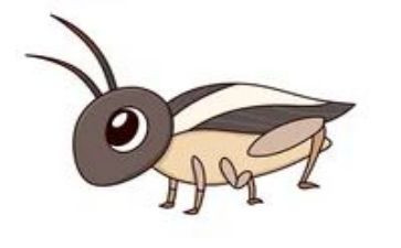 捉蟋蟀读后感推荐5篇