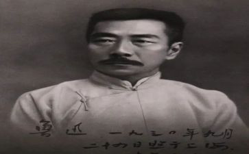 《彷徨》读后感优质7篇