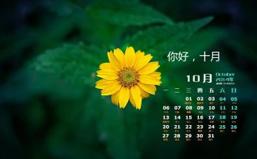 10月份销售工作计划8篇