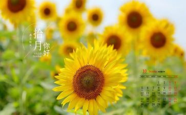 幼儿园中班10月份工作计划6篇