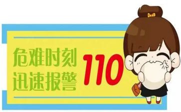 110辅警工作总结范文5篇