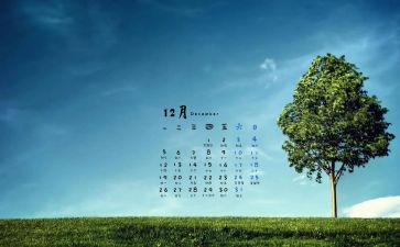 12月个人总结优秀8篇