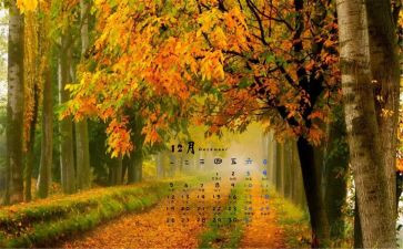 12月5日活动方案5篇