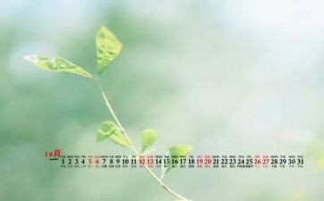 12月份心得体会5篇