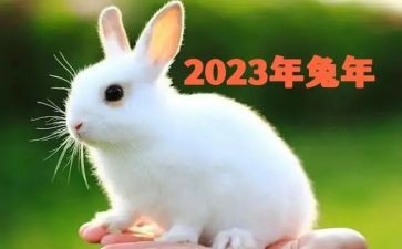 2023年教学教研工作计划5篇