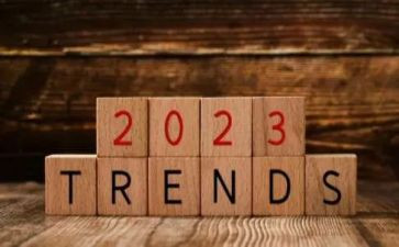 2023物理教研工作计划精选6篇