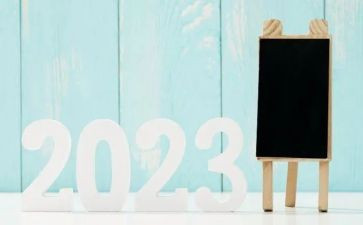 2023乡妇联工作计划参考8篇