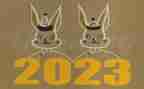 劳资员2023年工作总结参考5篇