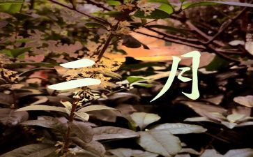 2月销售工作计划8篇