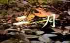 2月销售工作计划8篇