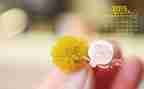 幼儿园教师2月份工作总结8篇