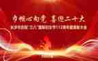 镇38活动总结最新8篇