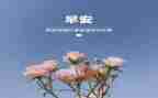 20243月到5月思想汇报参考7篇