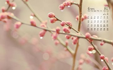 4月客服工作总结8篇