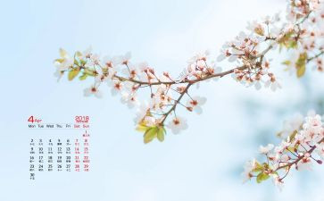 2024年4月工作计划7篇