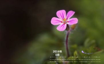 4月4日的心得体会7篇