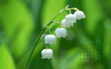 中班4月份班级工作总结7篇