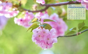 4月份的周工作计划通用8篇
