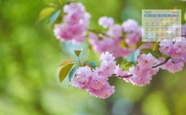 2024年4月工作计划模板8篇