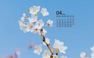 幼儿园大班4月工作计划6篇