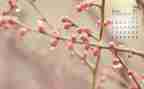 4月客服工作总结8篇
