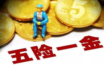 有5险1金的工作计划最新5篇