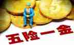 有5险1金的工作计划最新5篇