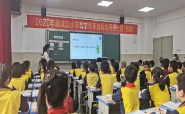大班数学活动单双数教案6篇