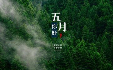幼儿园小班5月份工作总结5篇