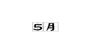 小学5月工作总结5篇