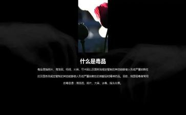 626禁毒日宣传活动方案6篇