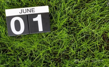 幼儿中班6月工作计划7篇