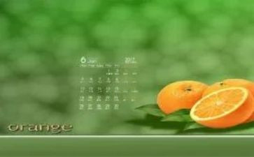 20246月第二套作文6篇