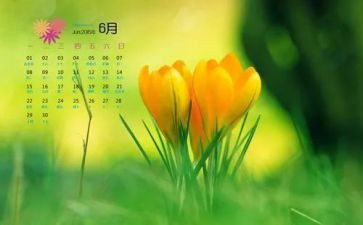 幼儿园中班6月份月计划8篇