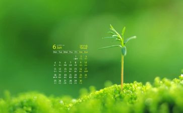 20246月第二套作文优秀6篇