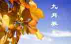 9月份中班月总结5篇
