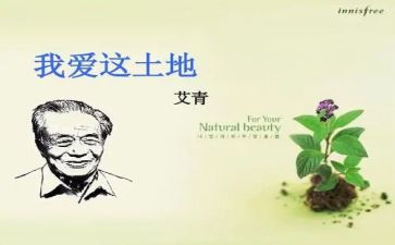艾青的笑的读后感7篇