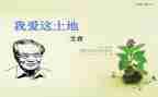 艾青的笑的读后感7篇