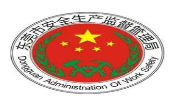 安监处工作总结8篇