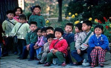 八零后小学学科教学计划6篇