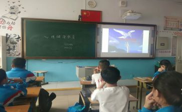 班会课主题教案模板最新7篇