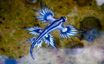 生物下学期工作计划优秀7篇