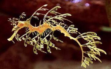 生物考核个人总结8篇