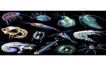 生物教师周工作总结最新6篇