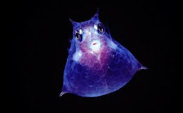 生物教师周工作总结优秀8篇
