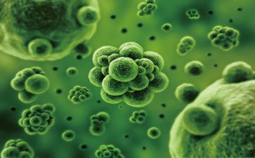 生物年度考核个人总结8篇