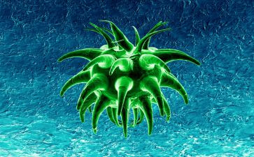 2024年生物实验室工作总结优秀5篇