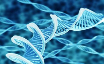 生物个人总结8篇