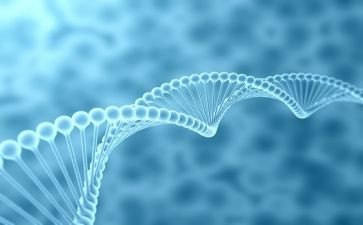 高中生物教学计划6篇