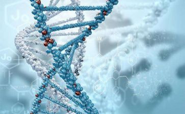 做生物实验心得体会5篇